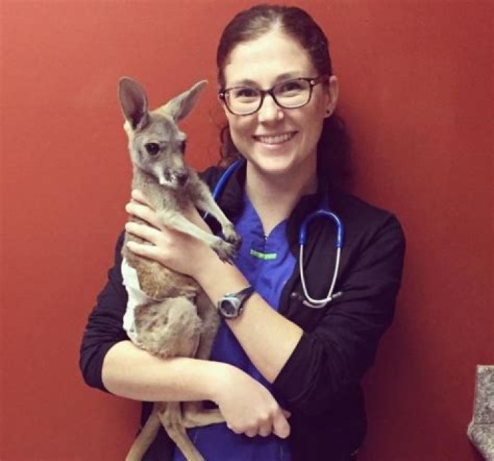Dr Lauren Thielen Wiki Bio Age Net Worth Husband Boyfriend Gambaran