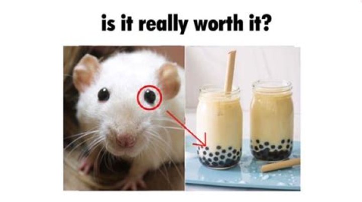 Is It Really Worth It? Boba Tea Meme Is It Really Worth It? Know