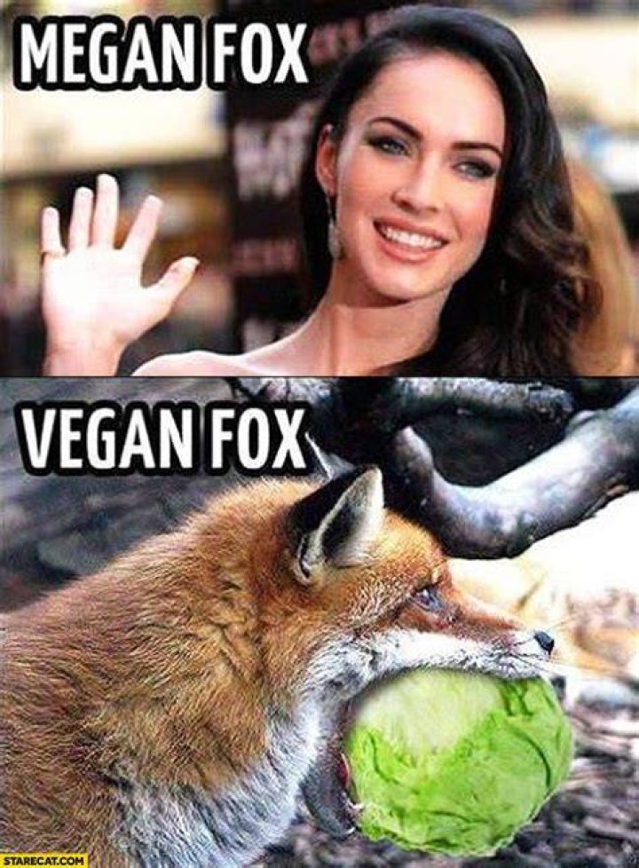 Meme Megan Fox Is Vegan Viral Viral Videos