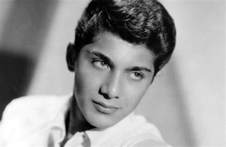 Paul Anka Net Worth 2023 Singing Career Age Home Earnings