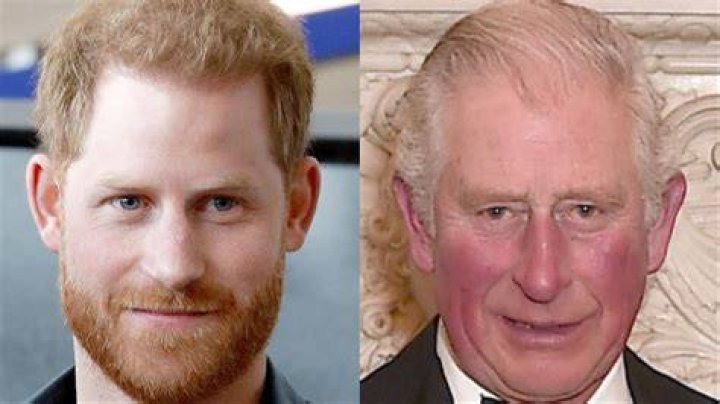 Prince Harry Alleges That King Charles III 'Devised' a Positive PR