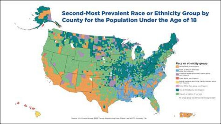 Race & Ethnicity, Fall 2014 Test