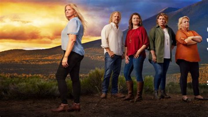 Sister Wives' Meri Brown Slams Troll Over Kody's Marriage Comment