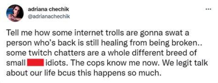 trolls say Adriana Chechik's TwitchCon injury is her fault